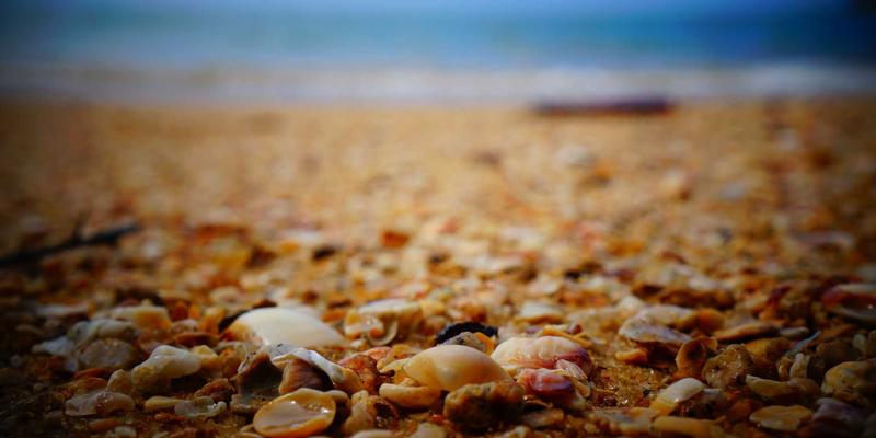 边缘计算与网络技术融合：解锁低延迟物联网应用的三大关键与实战资源